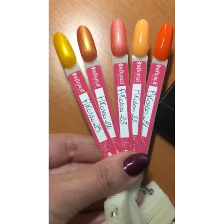 Gel color PAINT senza dispersione PIKASSO Nailook 4gr n.23, unghie SOFIANAIL, GEL COLOR unghie.