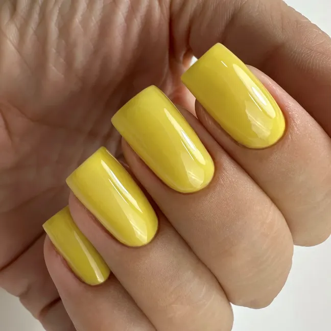Semipermanente Polish PNB 8 gr n.249