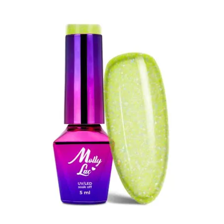 317 Mollylac Colore Smalto semipermanente Glitter Soakoff FANTASYLAND GLITTER 10gr