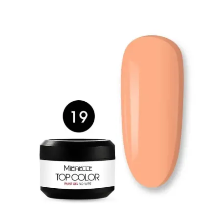 TOP COLOR PAINT 19 - Gel 5ml color pesca senza dispersione Michellenails